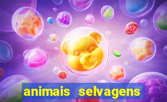 animais selvagens fotos e nomes